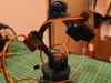 0.16mm layer, 4 walls, 25% infill