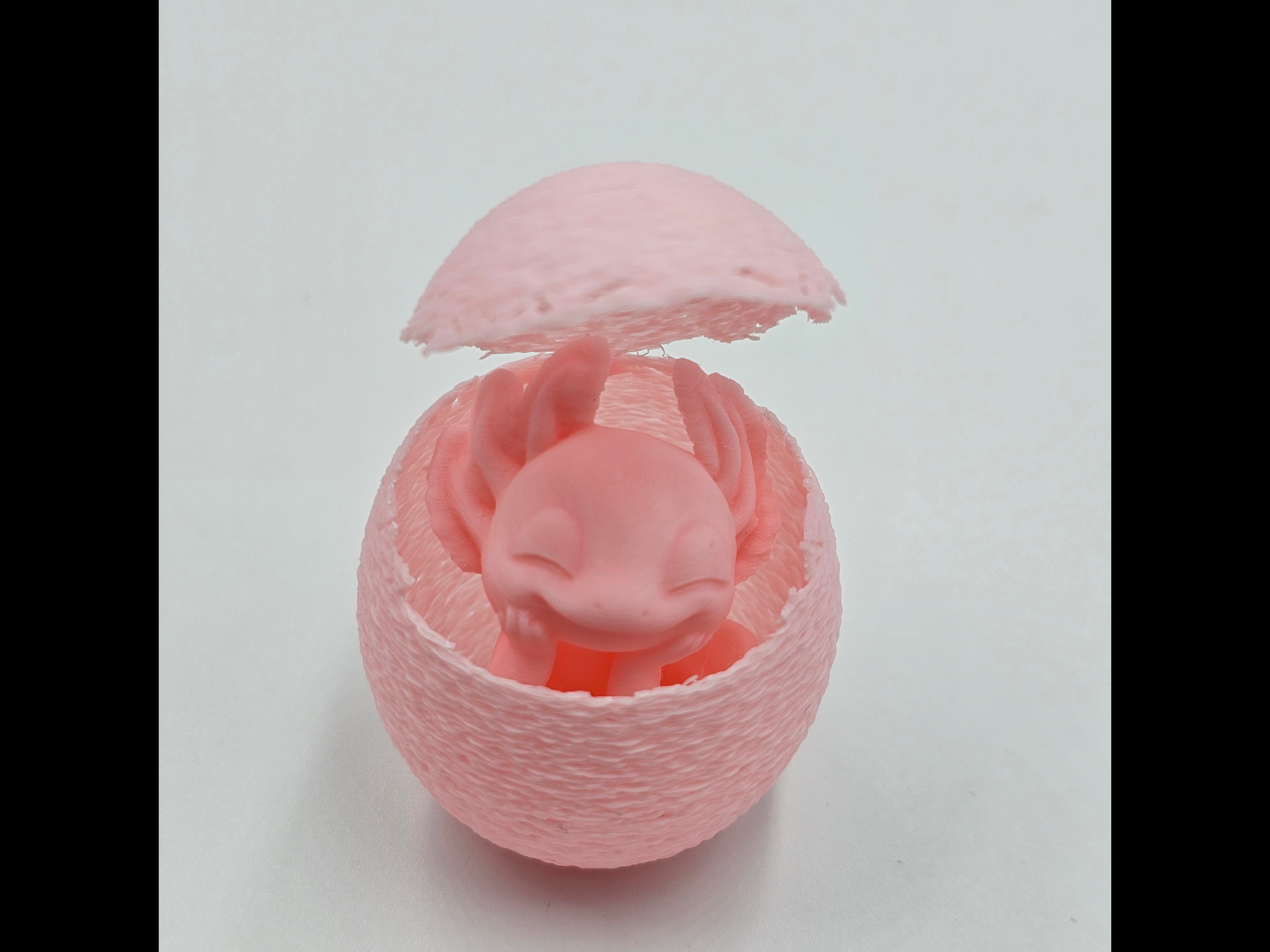 Animal - Egg - Axolotl - 1
