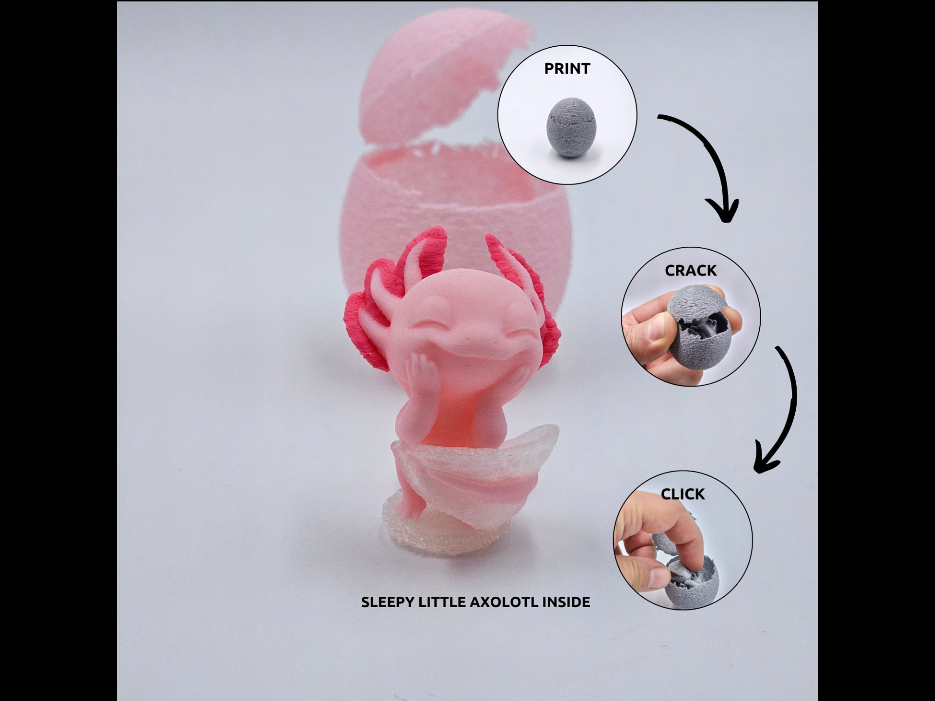 Animal - Egg - Axolotl