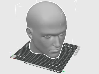 Sizing Head - 7 5/8 Hat Size