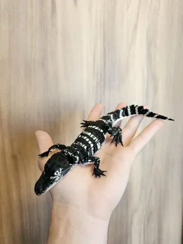 Letrero o emblema decorativo: Realistic Flexi Baby American Alligator — vista de referencia 4