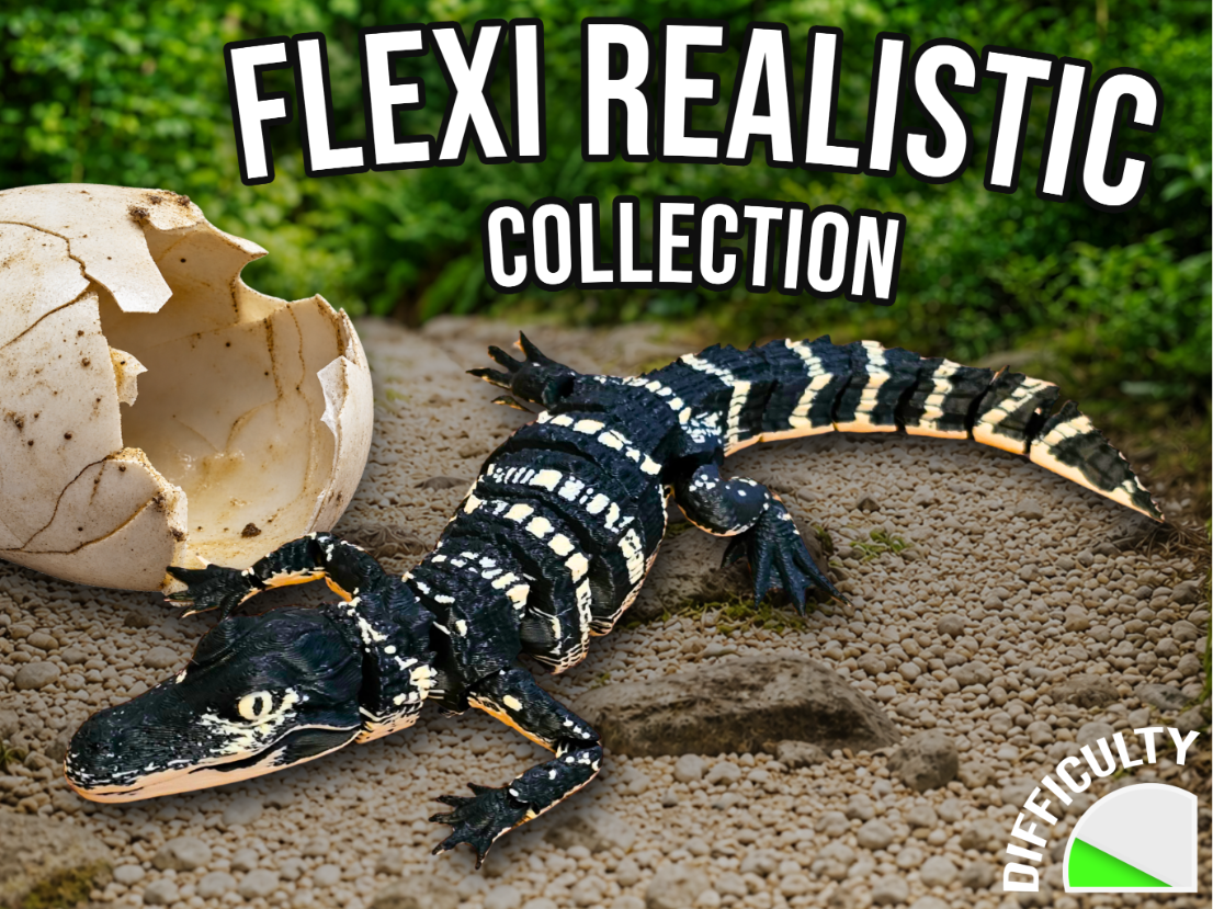Realistic Flexi Baby American Alligator 3D model