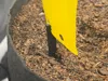 Yellow Sticky Trap Holder