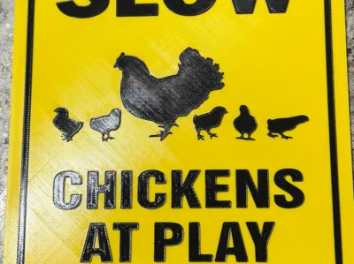 slow chickens at play