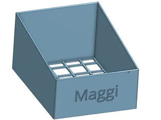 Maggi Box