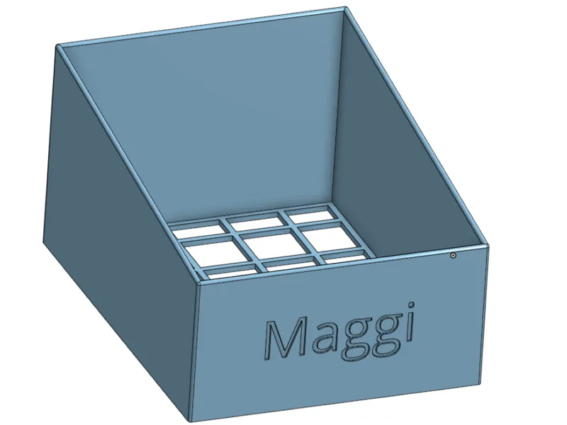 Maggi Box