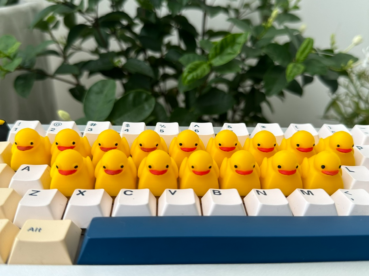 Cute Ducky Keycap v3