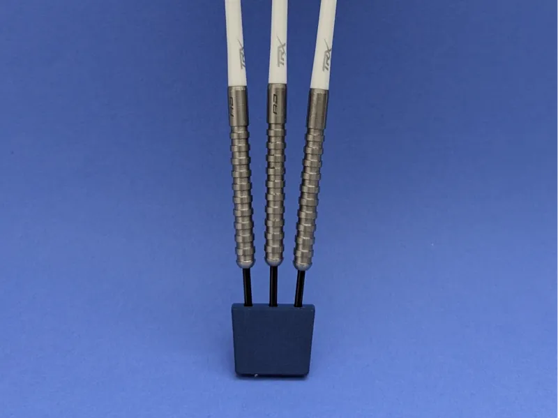 Dart Spitzenschutz
