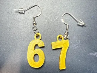 67 Earrings