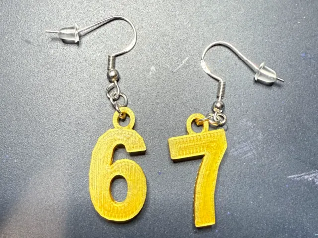 67 Earrings