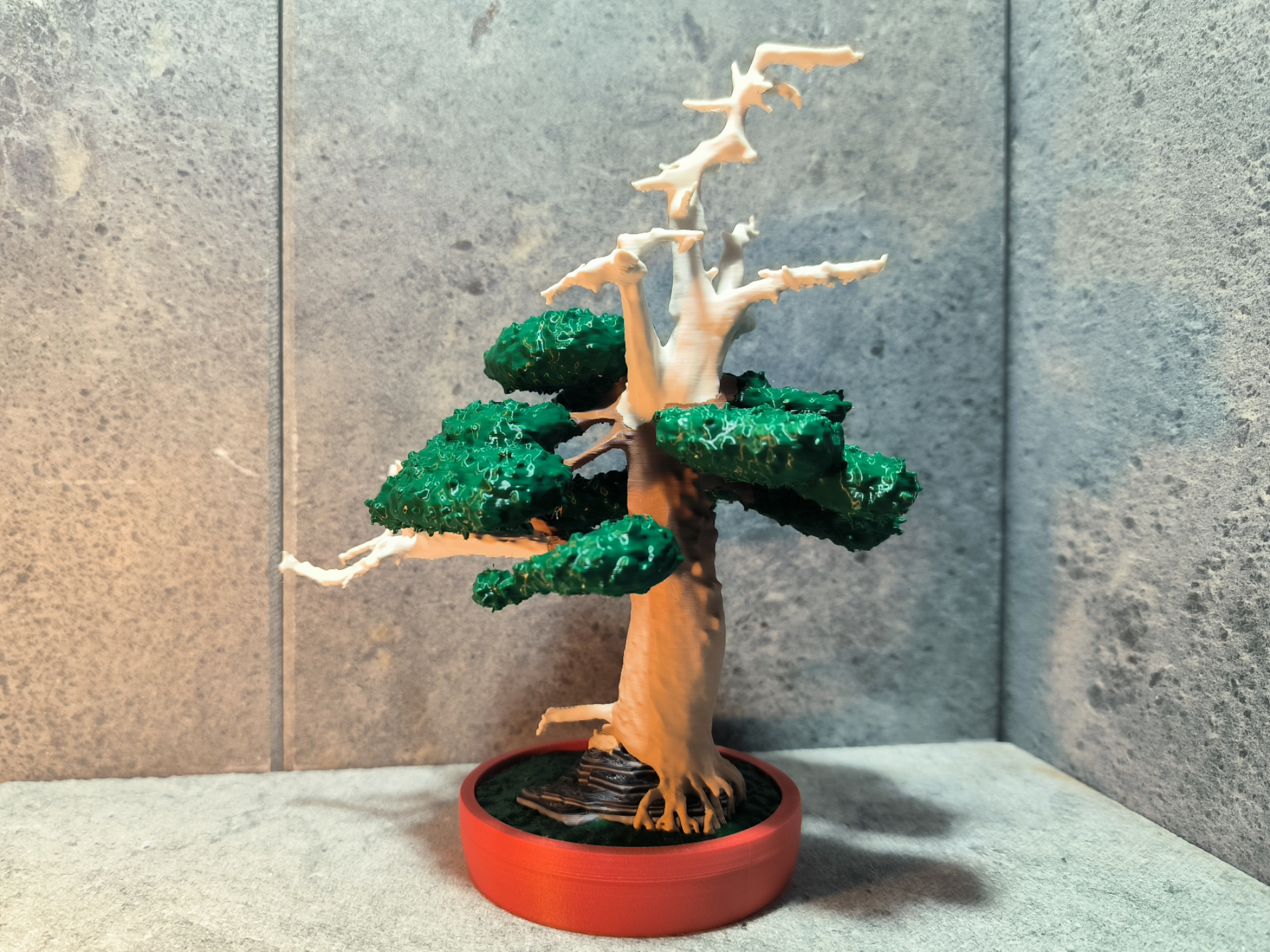 Bergkiefer Bonsai mit Totholz - mit und ohne AMS