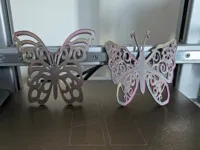 Butterfly duo