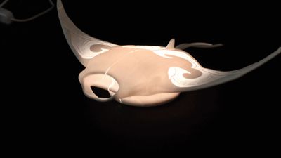 Manta Ray Lamp - Minimal Supports - Led Kit 001