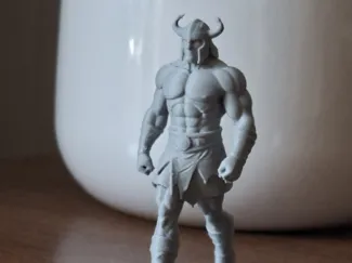 Barbarian Warrior Walking