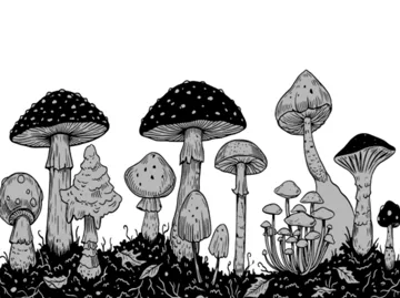 Modelo para impresión 3D: Texture Roller V403 | Mushrooms II — vista de referencia 5