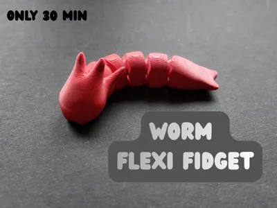Worm flexi fidget
