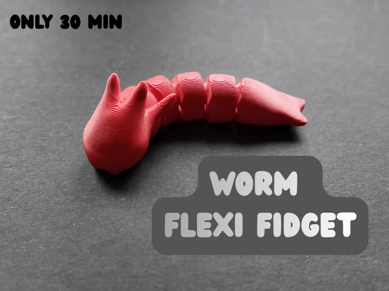 Worm flexi fidget