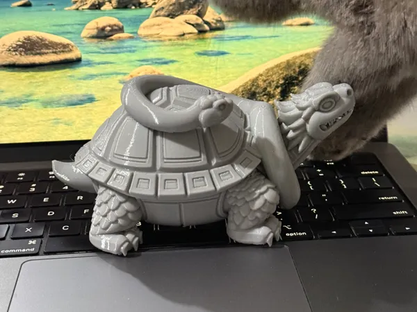 https://makerworld.bblmw.com/makerworld/model/USb12bc8a5a9afba/design/2026-01-11_9ecd6ea2a07038.jpeg