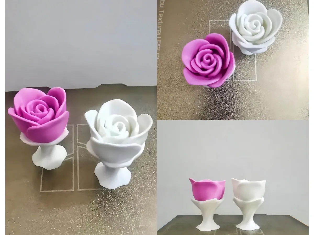 玫瑰花-Eternal symbols of love, beauty, and equality