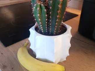 Cactus Vase Remix - Fits 105mm Nursery Pot
