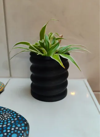 Spiral Plant Pot