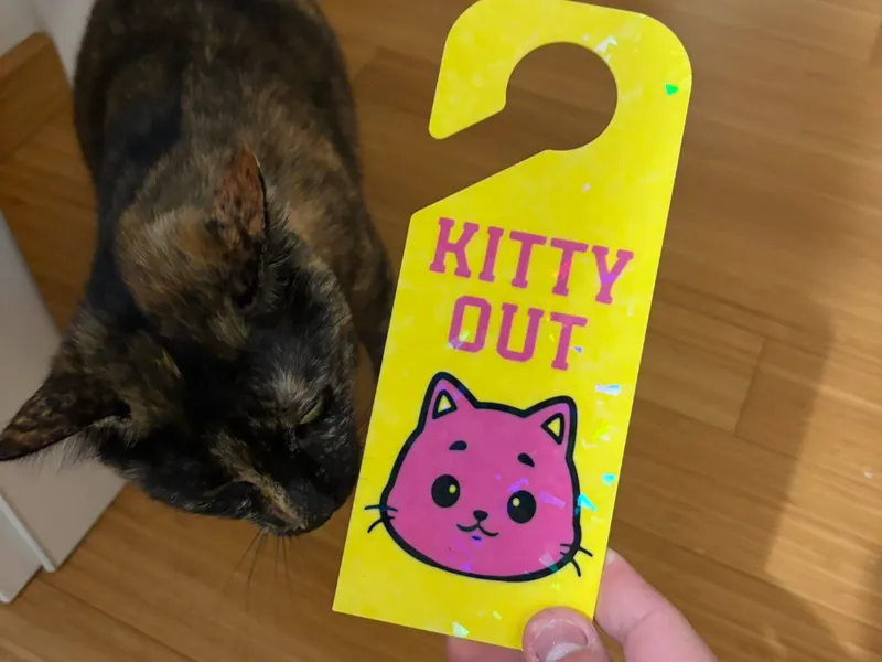 CAT LABEL - MEMORANDUM  GATTO