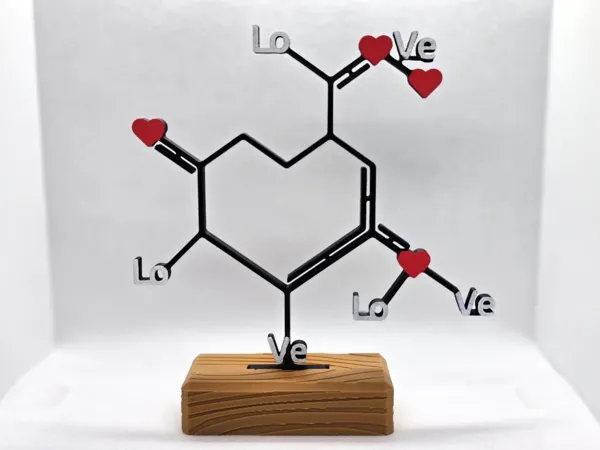 https://makerworld.bblmw.com/makerworld/model/USb1360b9cdd61a2/design/2025-01-12_f8681ce55caf4.jpg