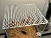 0.20mm layer, 2 walls, 15% infill