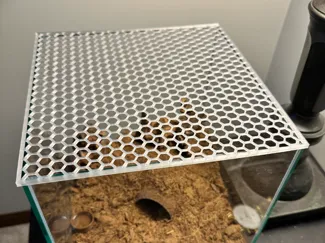 Imagitarium 3 gallon Lid