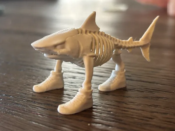 https://makerworld.bblmw.com/makerworld/model/USb13a4ef4c0bcaa/design/2025-10-04_95bcf4f4677a2.jpeg
