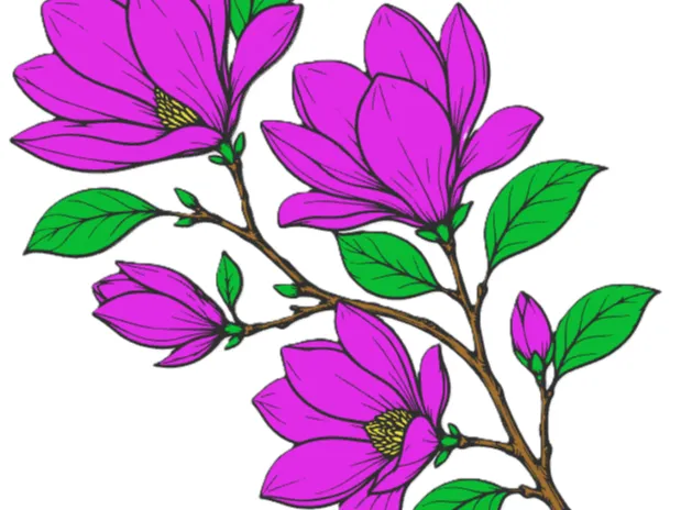 Magnolie Ast