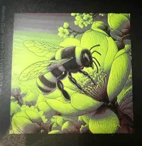 0.08mm layer, 1 walls, 100% infill
