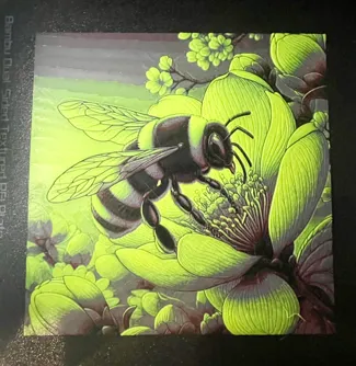 Bee on Magnolia