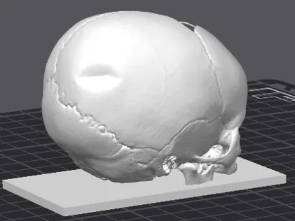 SKULL BABY