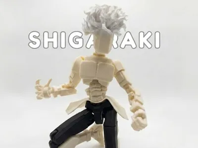 Shigaraki / Dummy 13