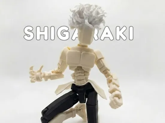 Shigaraki / Dummy 13