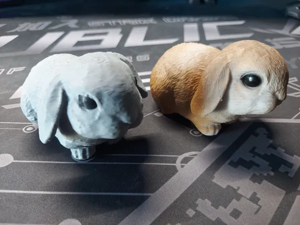https://makerworld.bblmw.com/makerworld/model/USb14c691cfa271c/design/2024-06-15_742989d445c94.jpg