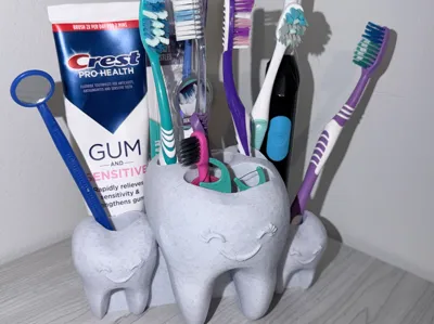 Toothbrush, Toothpaste, Organizer 