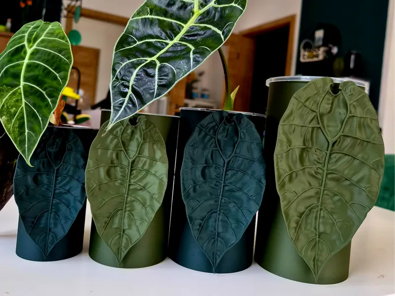 Watsoniana self watering vase