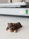 AMS Keychain