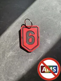0.2mm layer, 2 walls, 15% infill | NO AMS | Red backwall