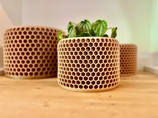 The Honeycomb Planter
