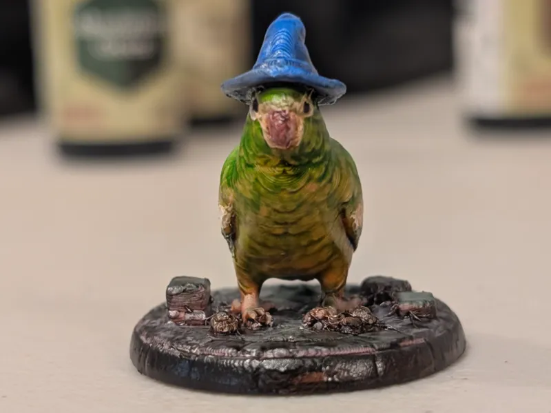 Wizard Bird-Miniature-D&D-Canary Winged Parakeet