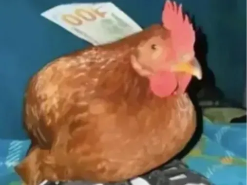 meme of the chicken wearing sneakers