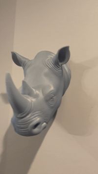 Large Rhino for P Series