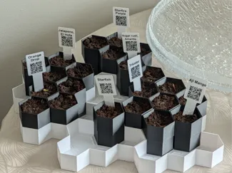 Hexagon seedling starter system