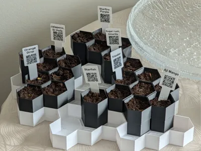 Hexagon seedling starter system