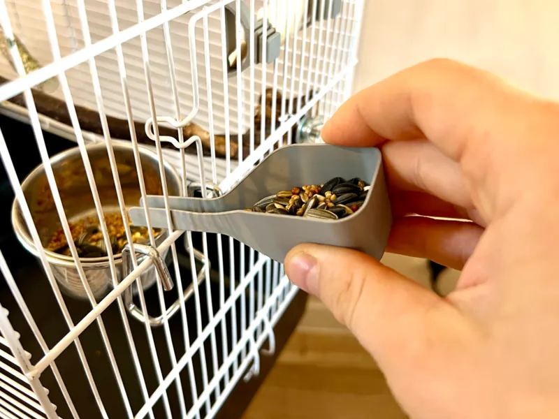 Bird Cage – Feeding Scoop