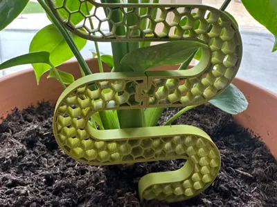Monstera Curvy Support - Modular Plant Stake