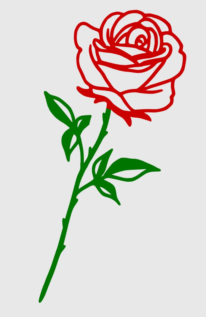 Internationl Women's Day Rose 2 